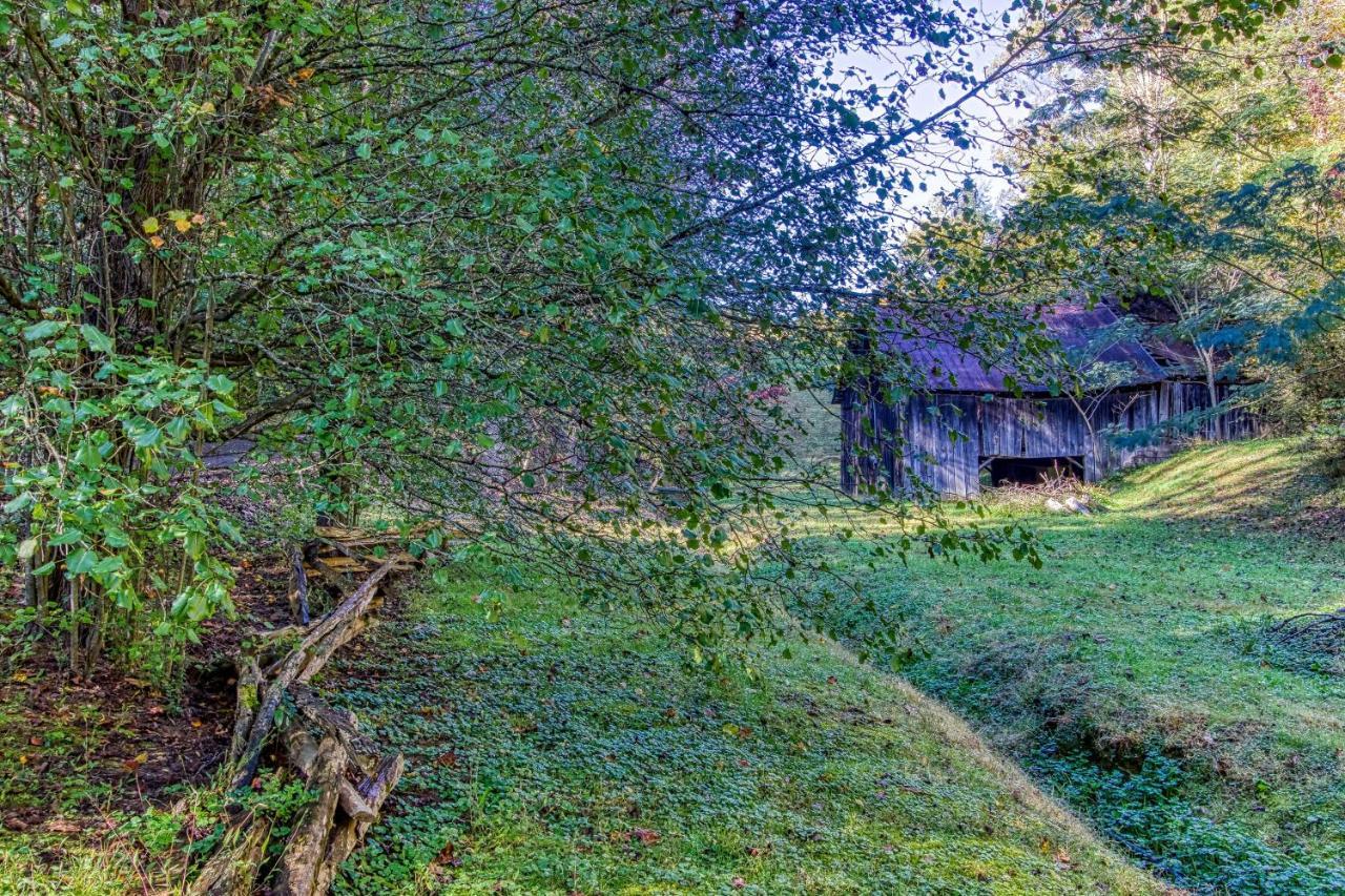 Cozy Creek Cabin Pigeon Forge Kültér fotó