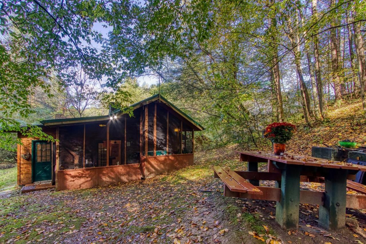Cozy Creek Cabin Pigeon Forge Kültér fotó