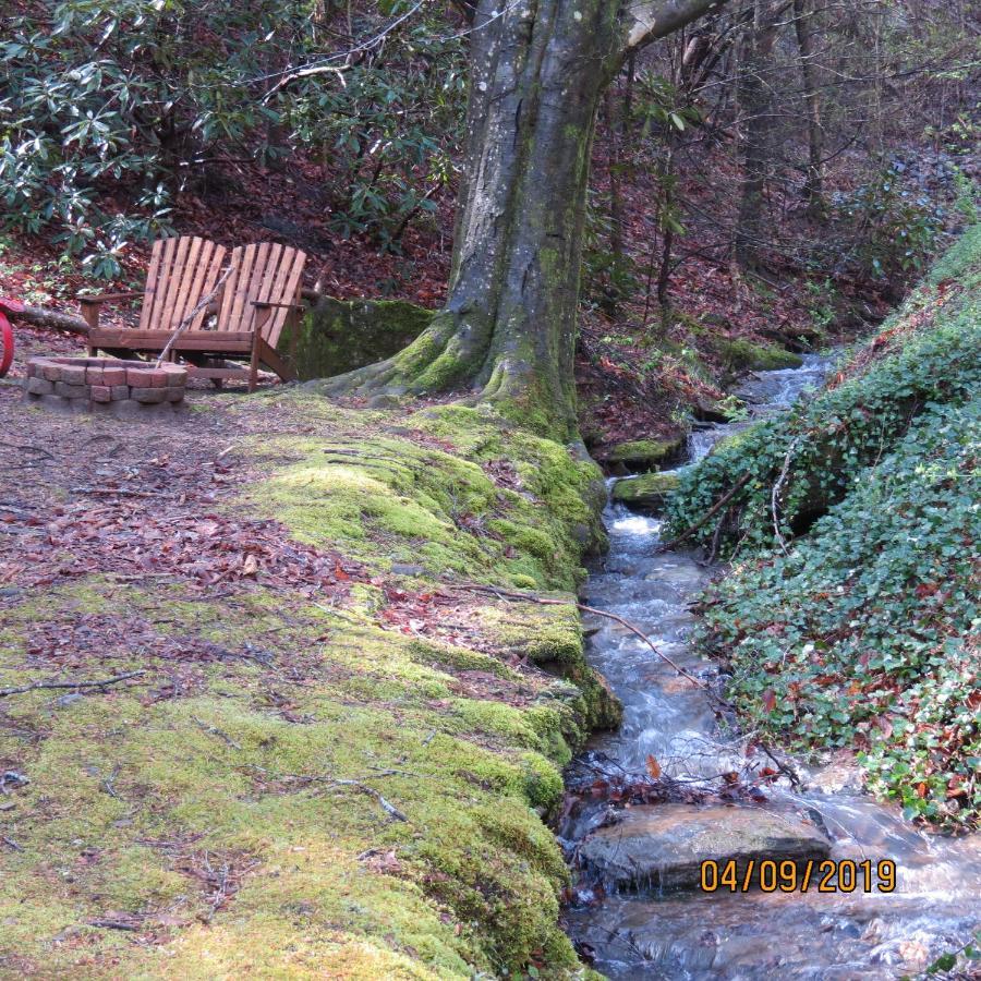 Cozy Creek Cabin Pigeon Forge Kültér fotó